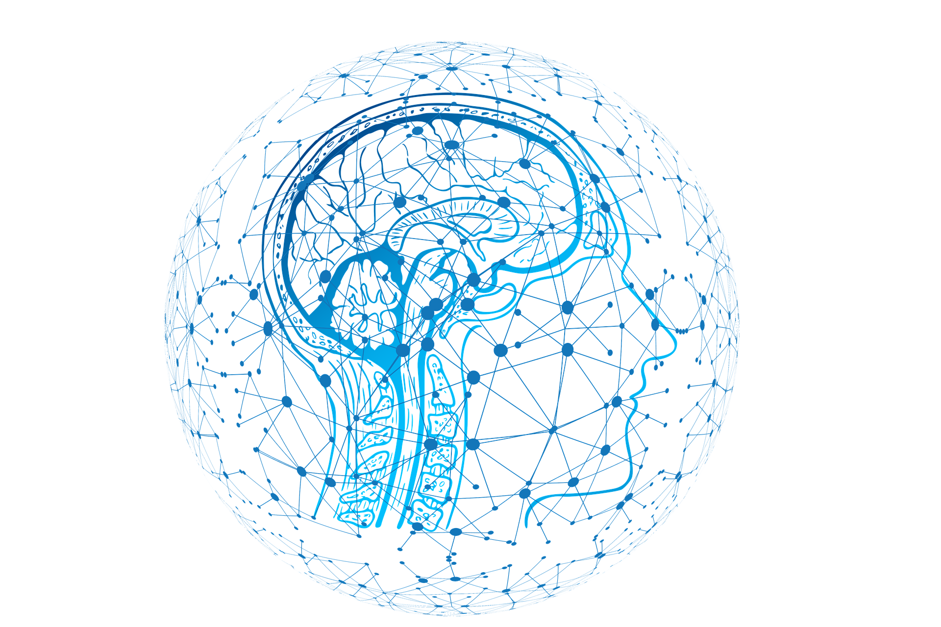 introduction-image brain