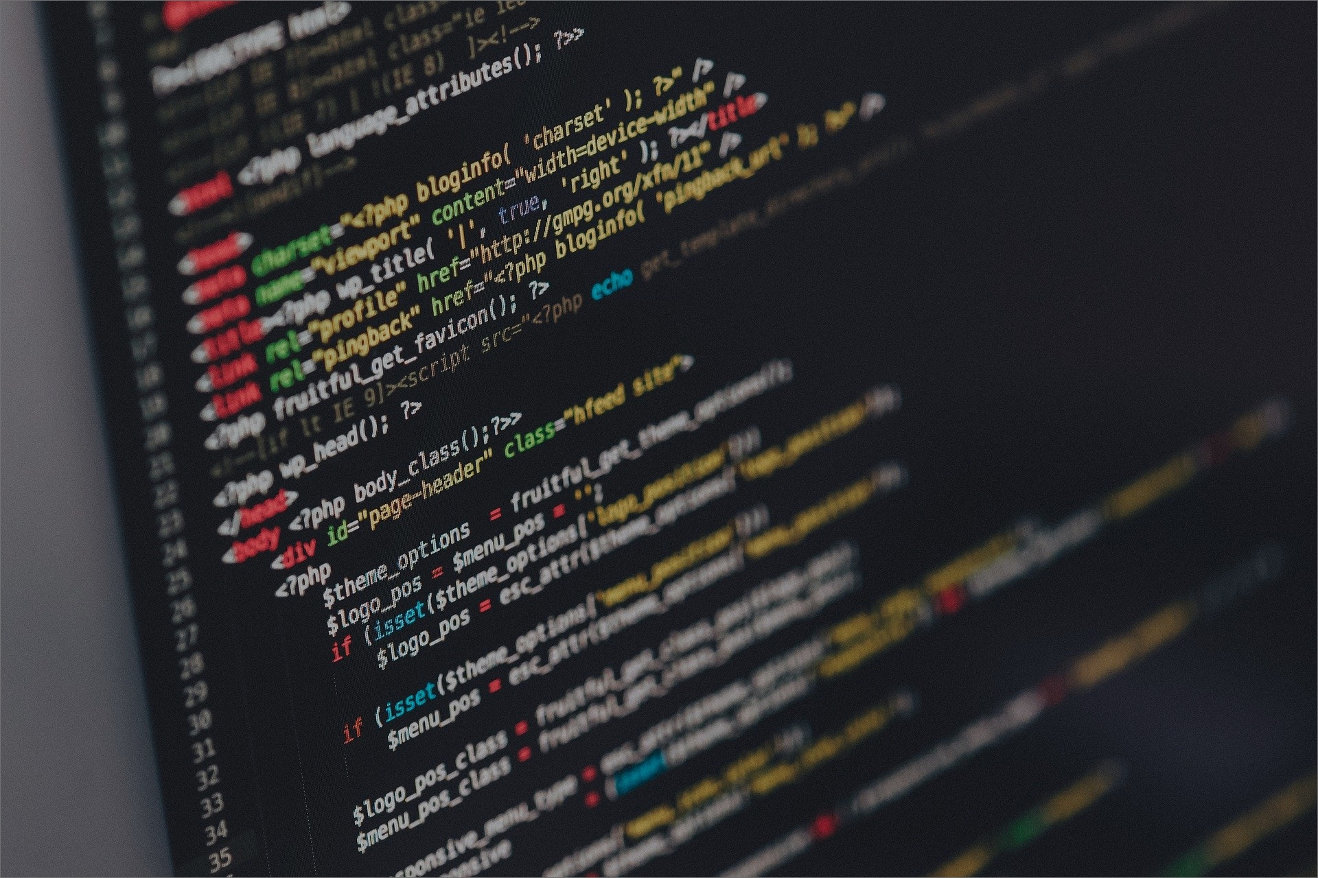 top-image02 programming